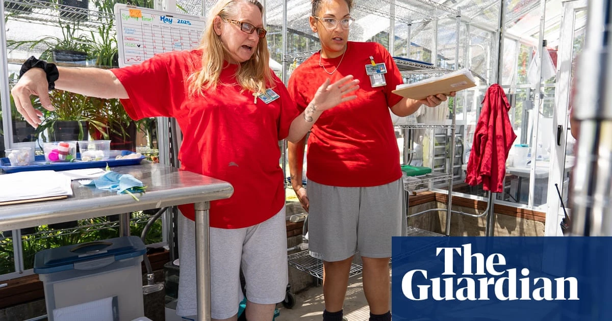 These women are raising endangered butterfly larvae from prison: ‘They reconnect with their own brilliance’