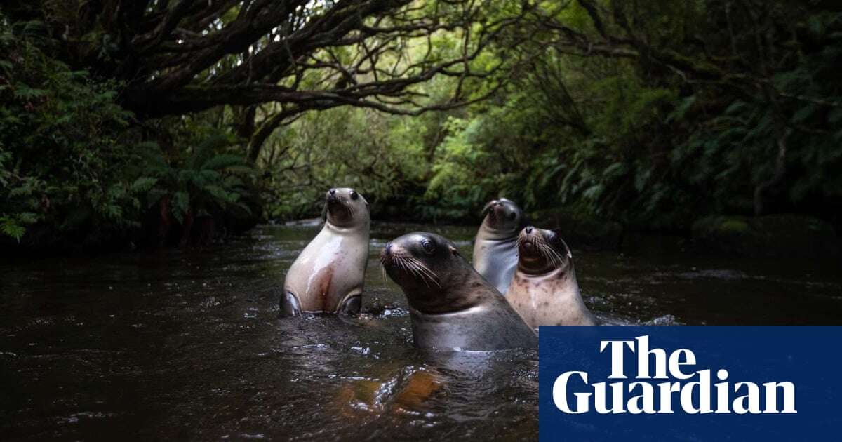 Australian Geographic nature photographer of the year 2024 – in pictures