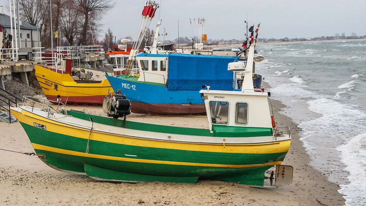 Dorsz znika, morze się dusi. PE szykuje reset dla Bałtyku