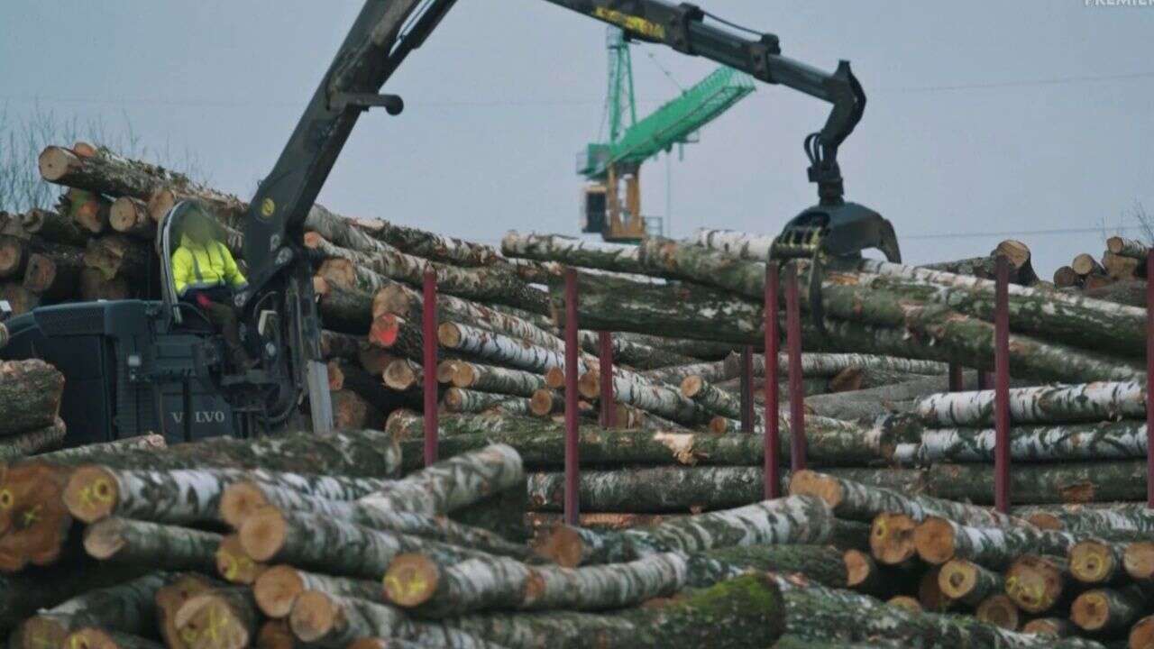 Polskie firmy pomagają Rosji obchodzić sankcje. „W biały dzień”