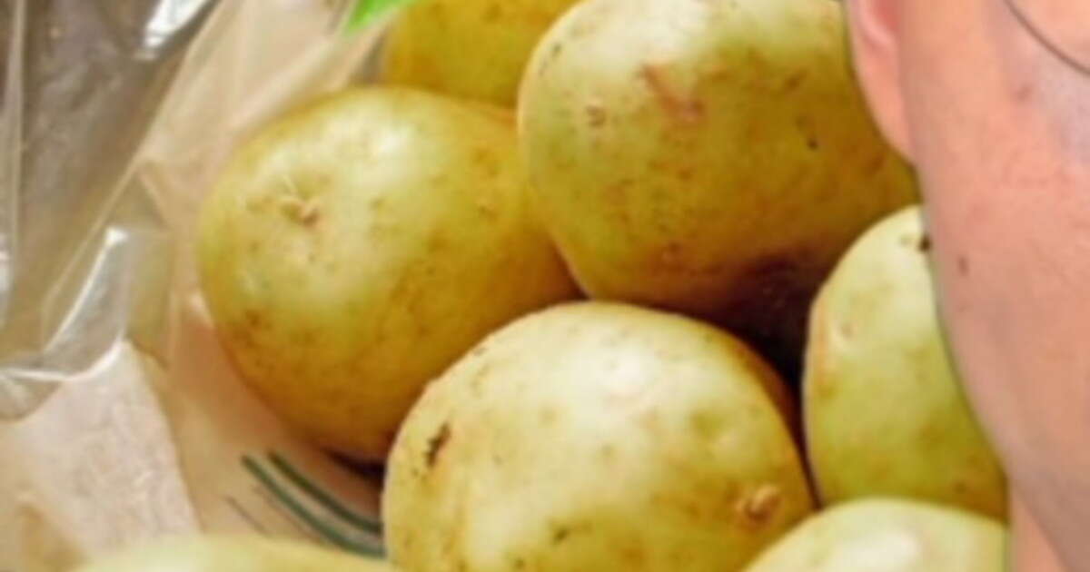 Patate, 