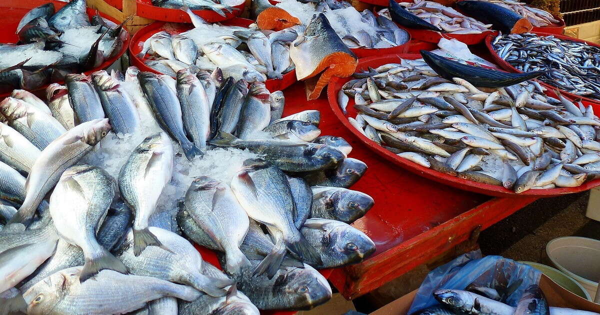 Pesce avariato, 200 tonnellate sequestrate: orrore in tavola, cosa volevano servirci a Capodanno