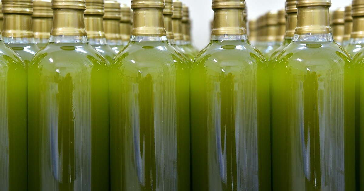 Olio d'oliva bio? Clamorosa truffa sulla tavola degli italiani: cosa stavamo mangiando