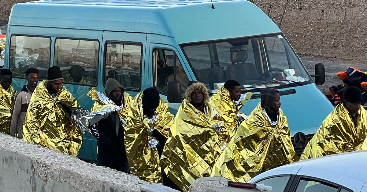 Reddito di cittadinanza e migranti, truffa da 1,6 milioni a Torino: chi sono i due 