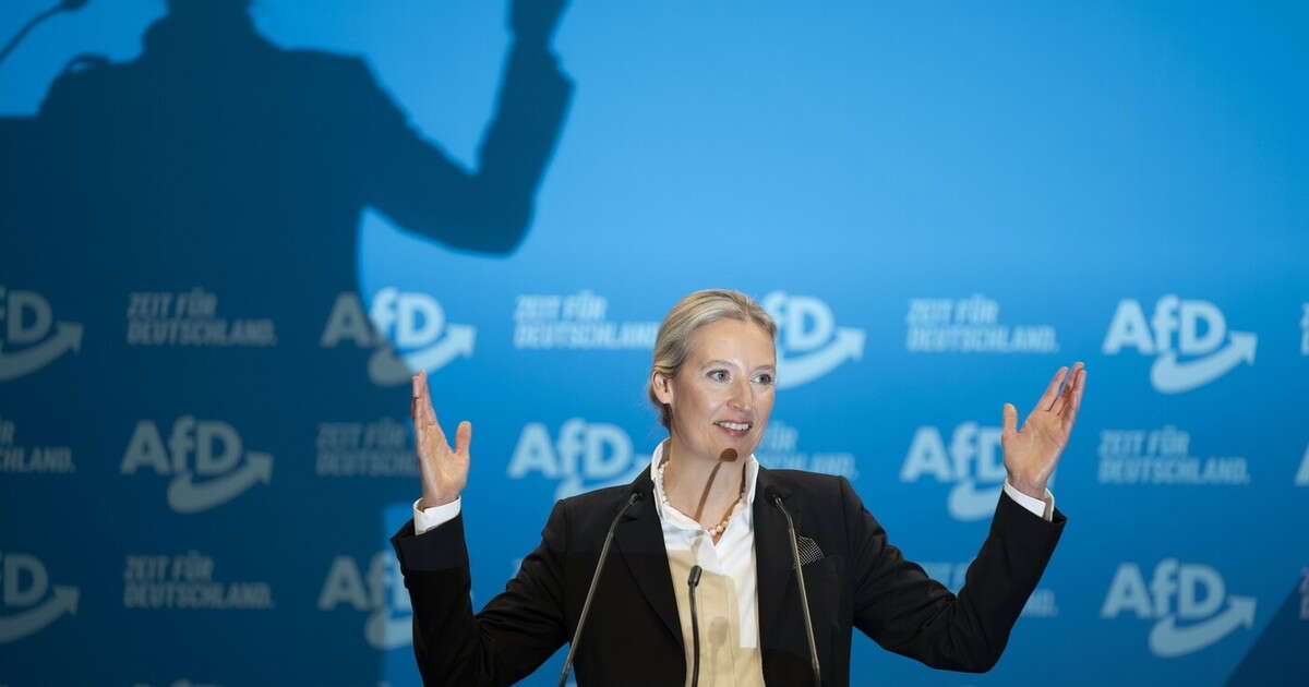 Annullare il voto se vince AfD: l'inquietante sparata dai vertici Ue, ecco la loro 