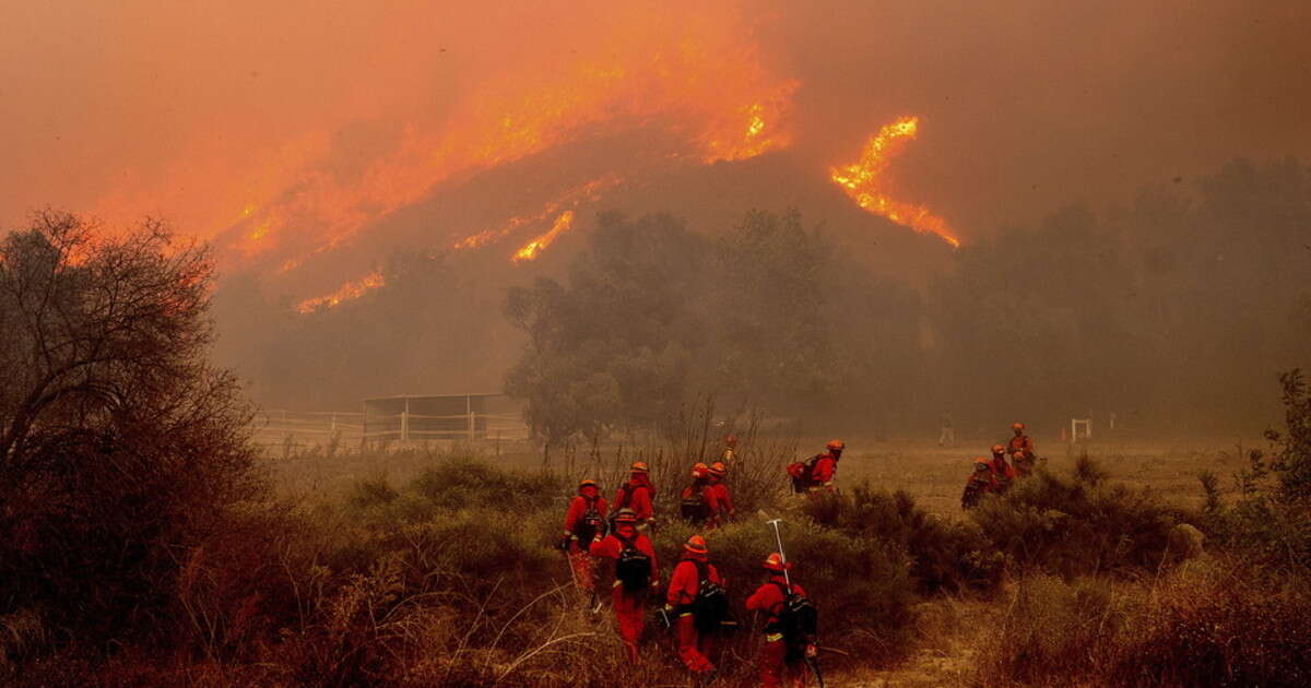 Ecatombe a Los Angeles, l'inquietante ipotesi sui 