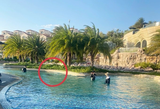 Dừng điều tra vụ bé trai người Nhật chết đuối ở resort 5 sao