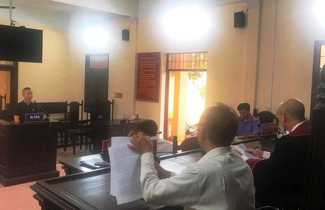 Mua bình rượu có ngâm rắn hổ mang chúa về trưng bày, chủ nhà hàng lĩnh án