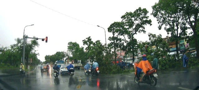 Cây xanh ngã đổ, nhà cửa hư hại vì dông lốc ở Huế