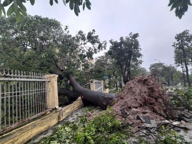 Sau bão, 114 trường học ở Hà Nội chưa mở lại, có nơi tính phương án dạy trực tuyến