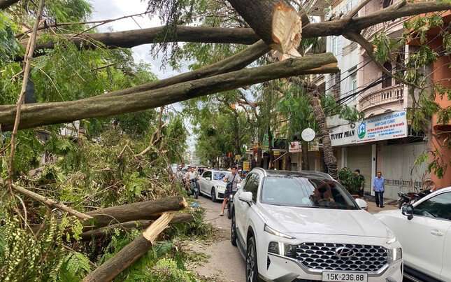 Hải Phòng cấm nhà trường vận động phụ huynh tài trợ sau bão số 3