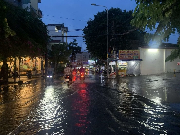 Cây xanh bật gốc, đổ hàng loạt trong cơn mưa ngắn ở TPHCM