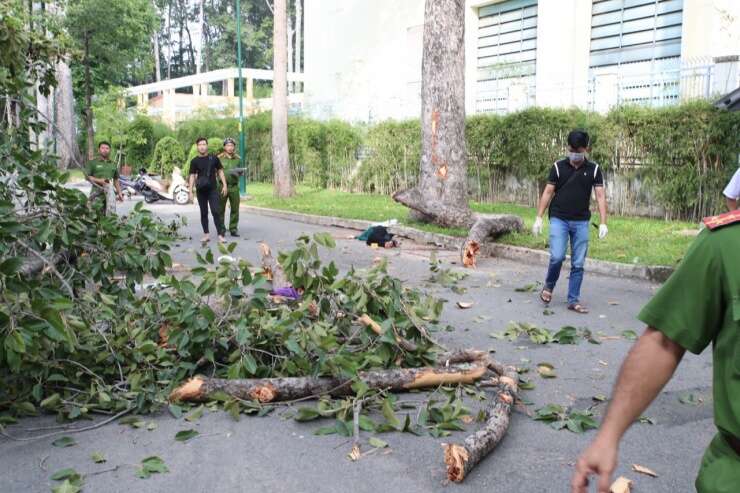 Cành cây lớn rơi trúng nhóm người tập thể dục trong công viên Tao Đàn gây thương vong