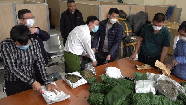 Công an Hà Nội triệt phá đường dây mua bán cần sa, thu giữ hơn 700 kg
