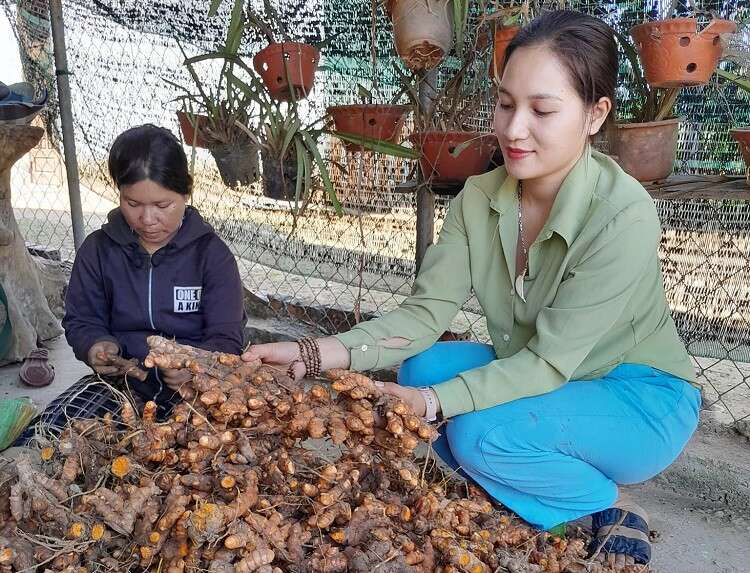 9x Cơ Tu nuôi loài “ăn đêm, ngủ ngày, không hay uống nước”, thu lãi hàng trăm triệu đồng