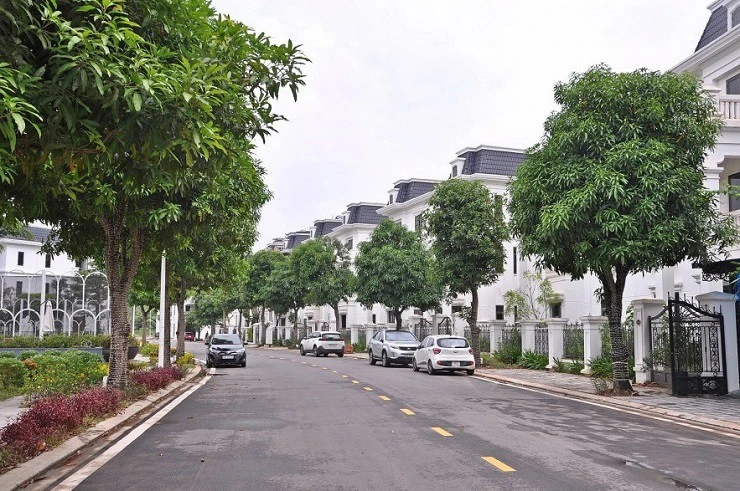 Lượng tiền kiều hối 