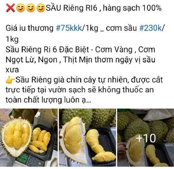 Sự thật sầu riêng chín cây bán trên chợ online