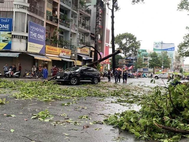 TP HCM: Nhiều cây xanh bật gốc, ô tô gặp nạn trên đường Ngô Gia Tự