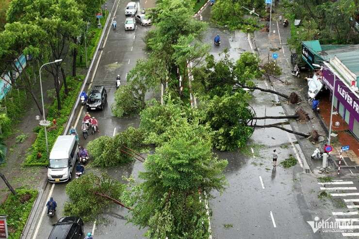 Phố đi bộ tan tác, hàng phở Thìn Bờ Hồ bị cây đổ sập tường sau bão Yagi