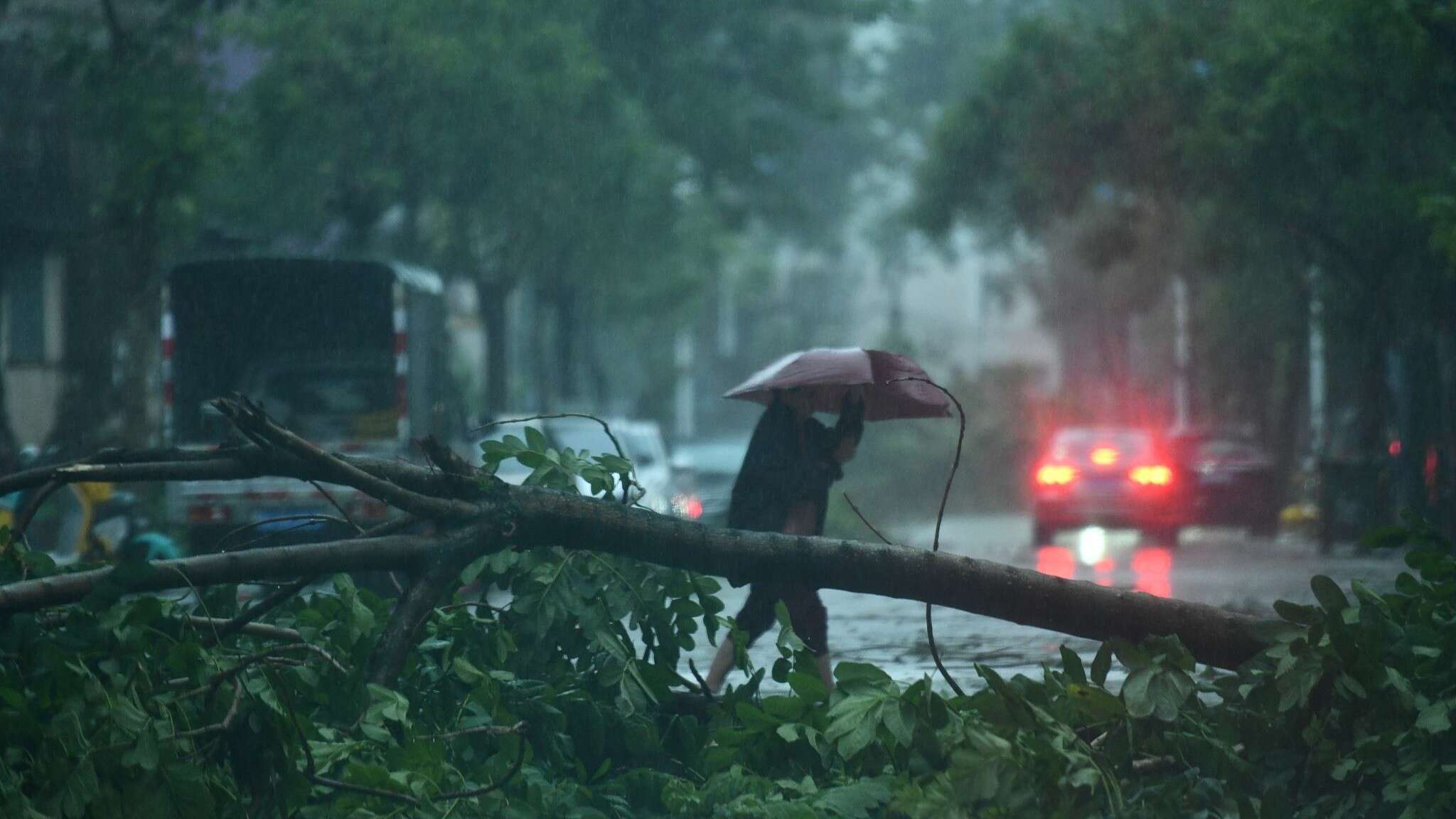 Siêu bão Yagi càn quét Trung Quốc, gần 100 người thương vong