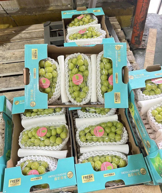 Tiểu thương tiết lộ lý do khiến nho sữa thượng hạng tươi rói bỗng có giá 