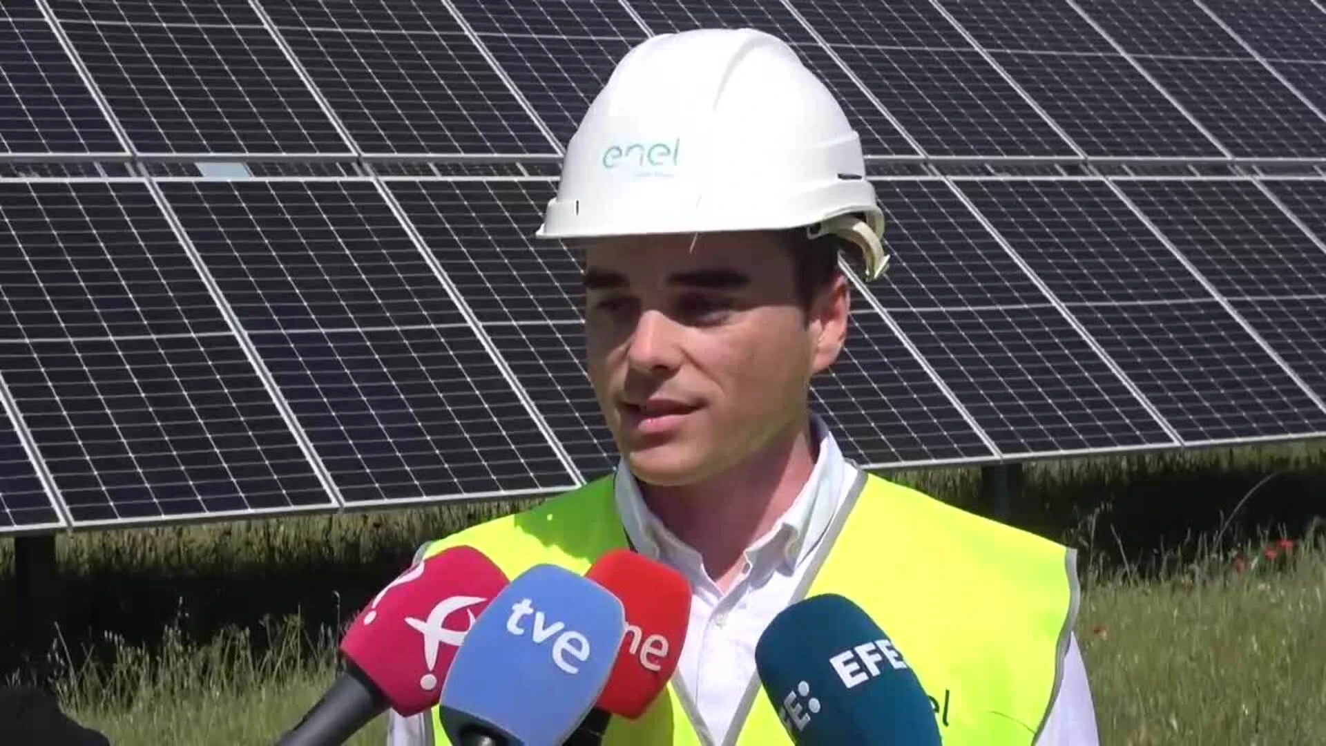 Una planta solar extremeña, la primera de España con una reserva de sisón común