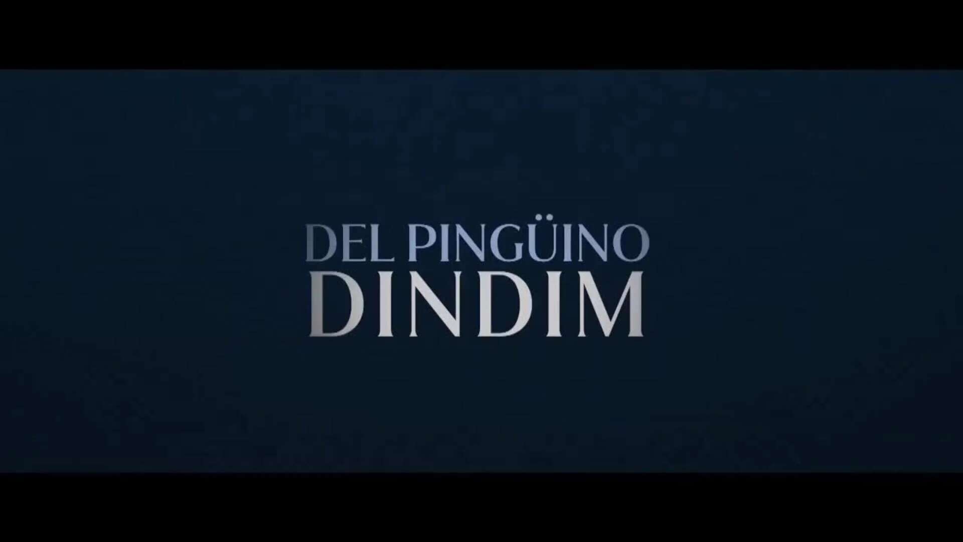 'Mi amigo el pingüino', una enternecedora historia real