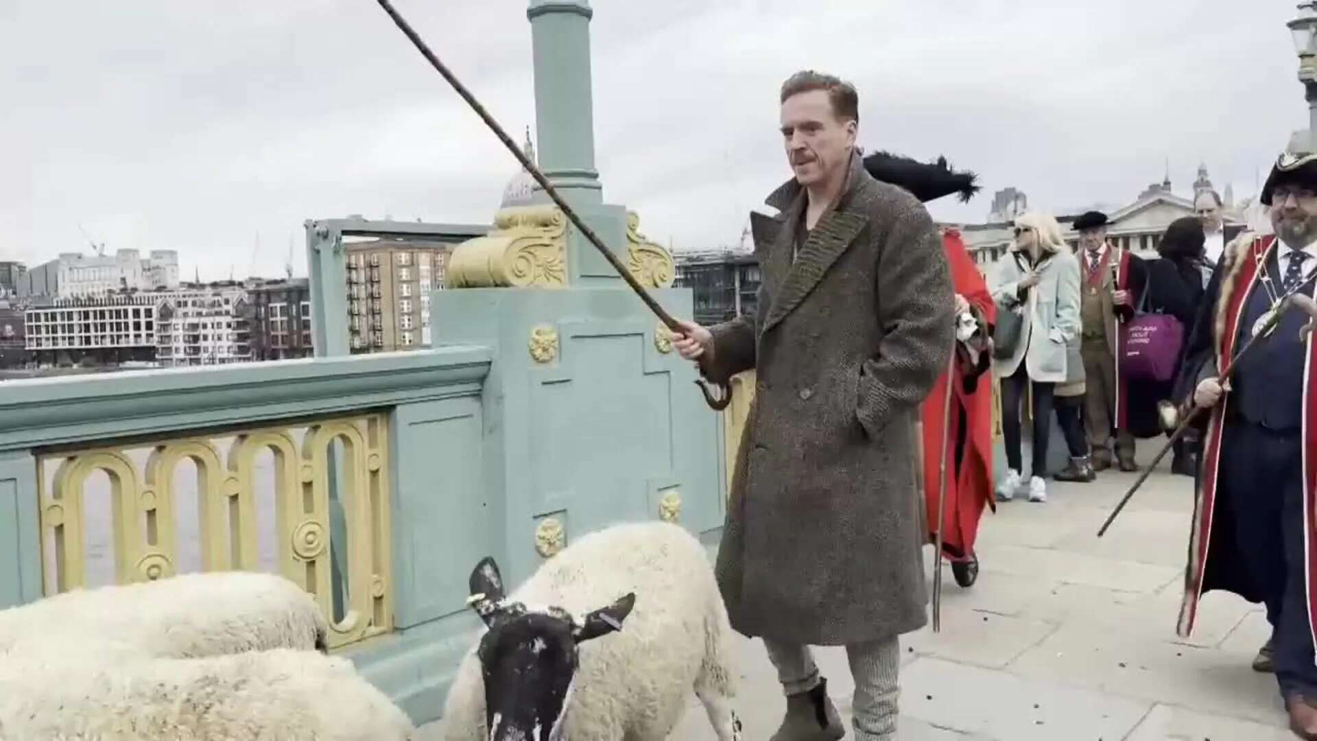 El actor británico Damian Lewis pastorea a un rebaño de ovejas por el centro de Londres