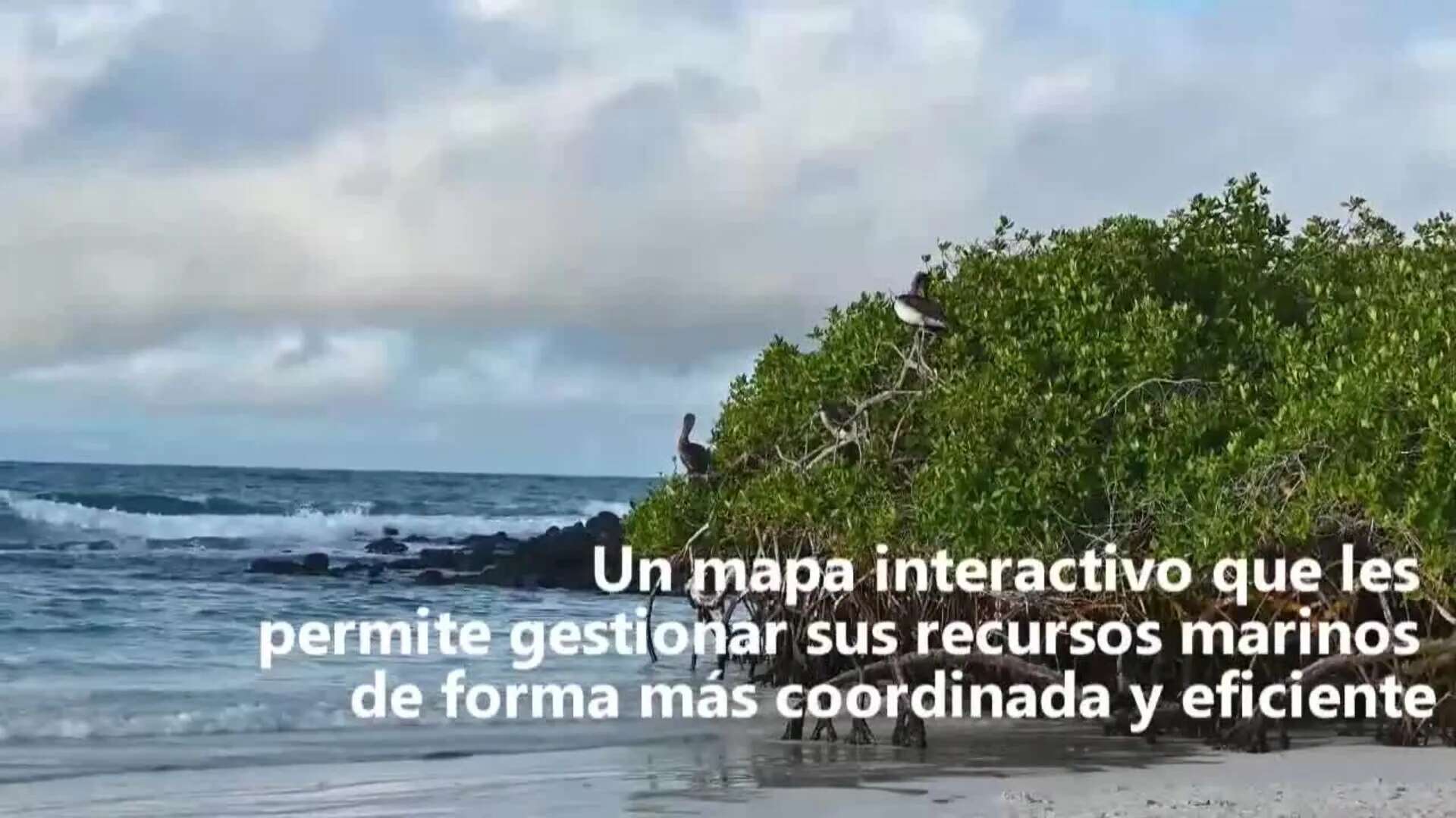 Global Fishing Watch transforma la gestión de recursos marinos en países de Latinoamérica