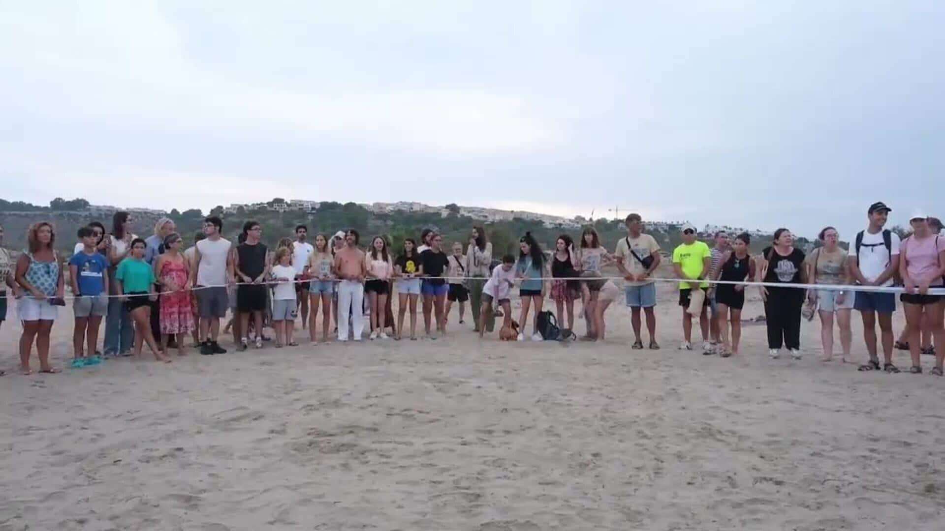 14 loggerhead sea turtles released into the sea in Spain's Alicante