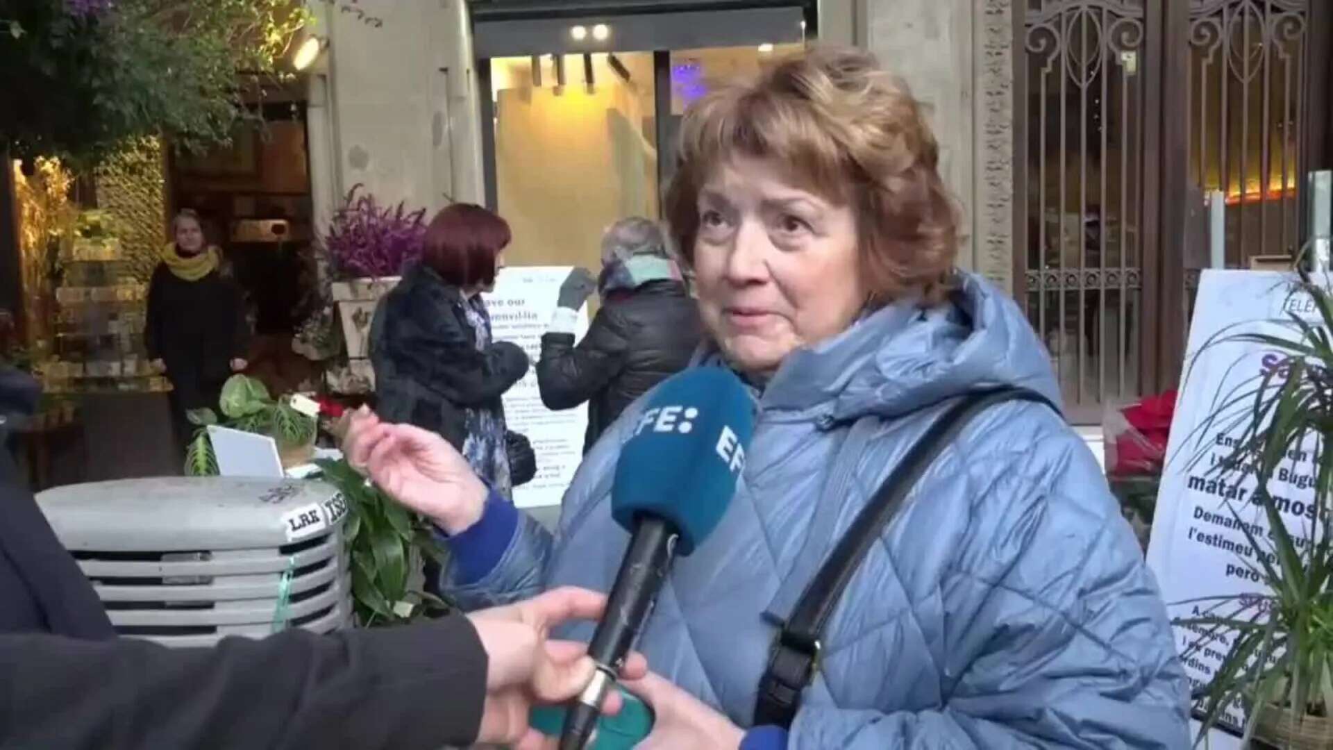 Vecinos se movilizan para salvar la buganvilla emblemática de Rambla Catalunya