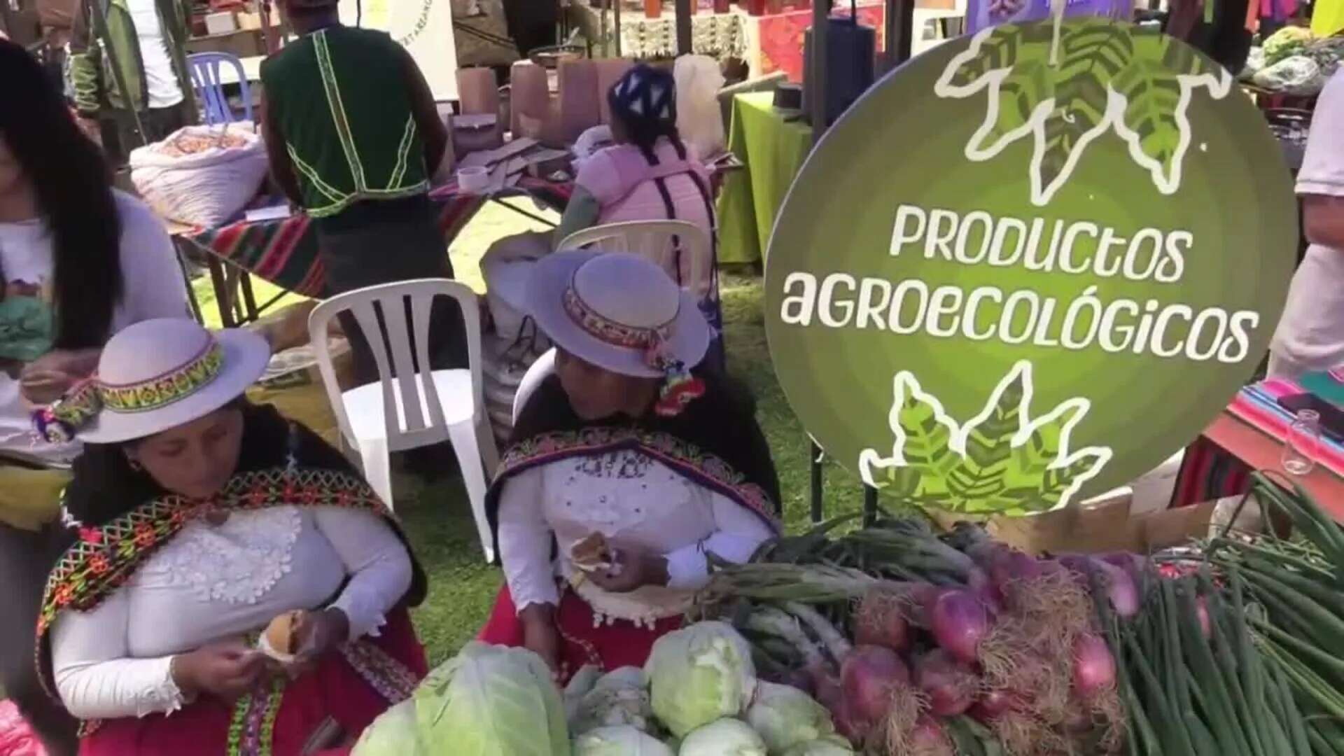 Productores y emprendedores bolivianos impulsan consumo diverso de alimentos del altiplano y la Amazonía