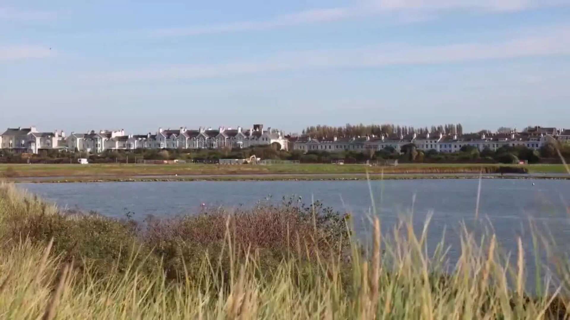 Detectan brote de algas tóxicas en Crosby Marine Lake, Reino Unido