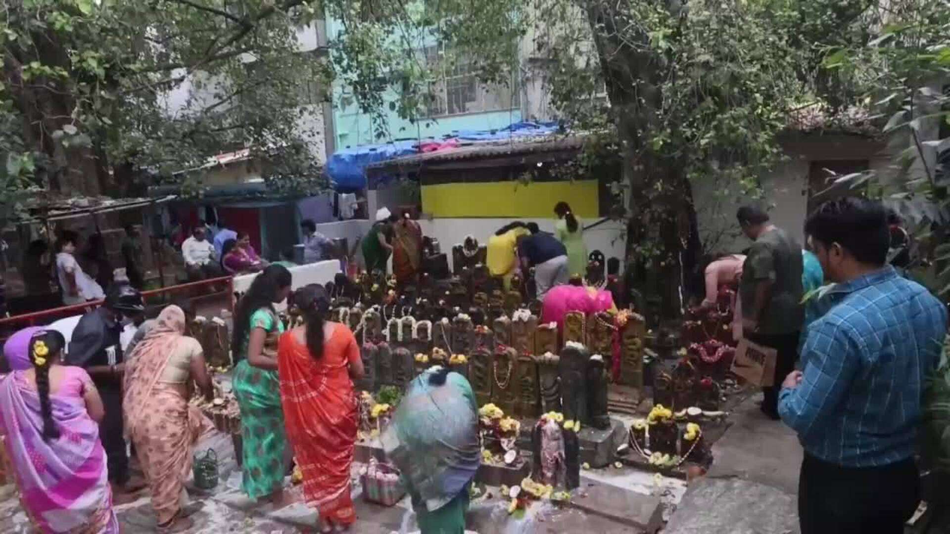 Devotos hindúes celebran el festival Nag Panchami