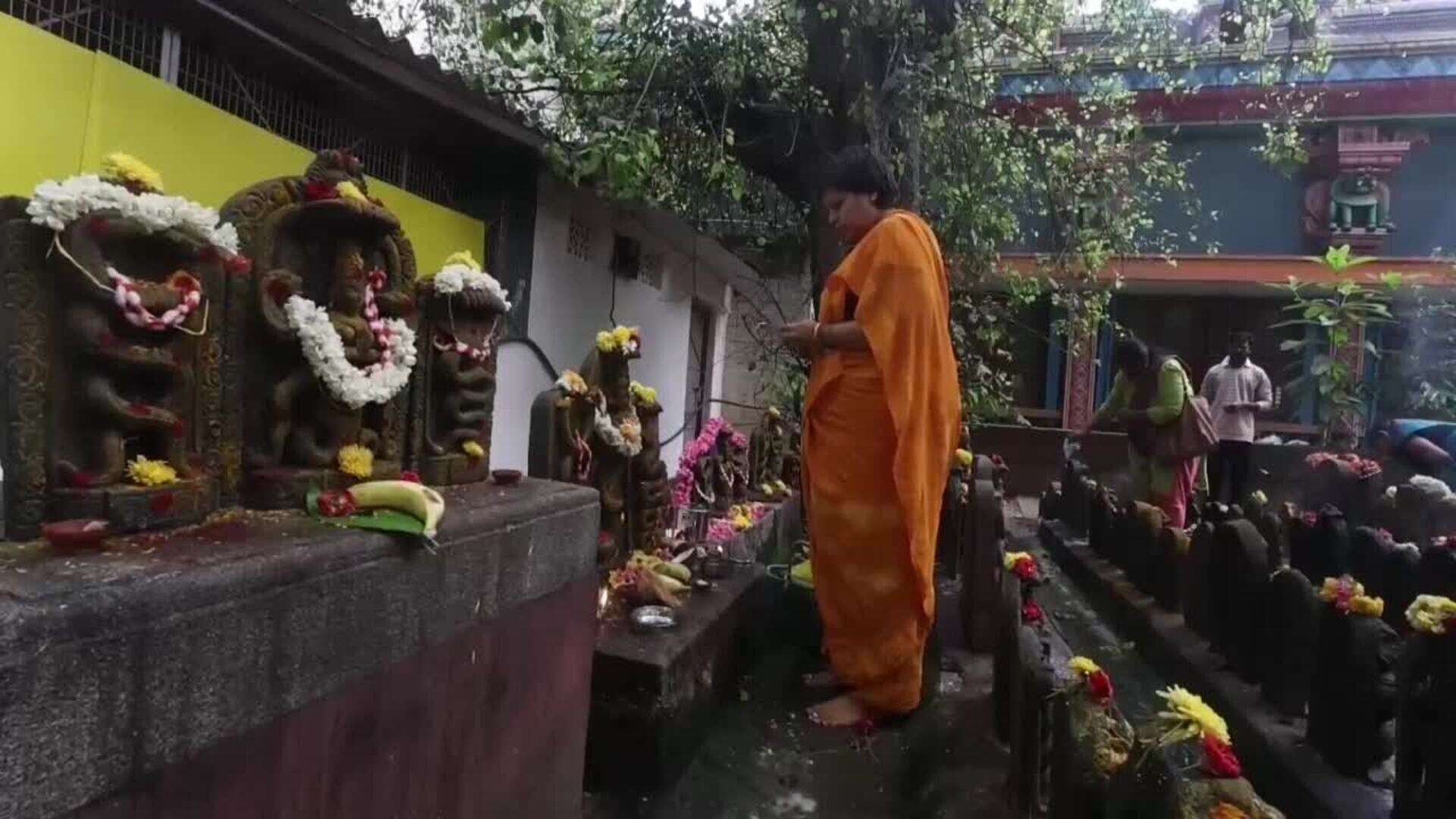 Hindúes celebran el festival Nag Panchami