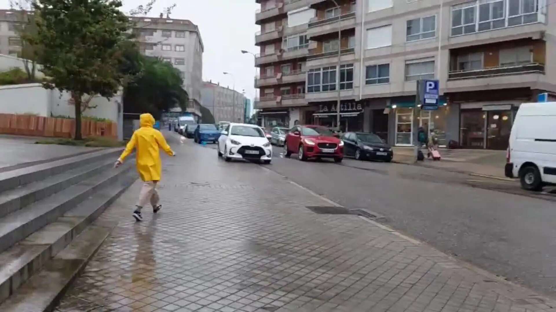 Una persona herida leve en Vigo tras caerle encima la copa de un árbol en el Castro