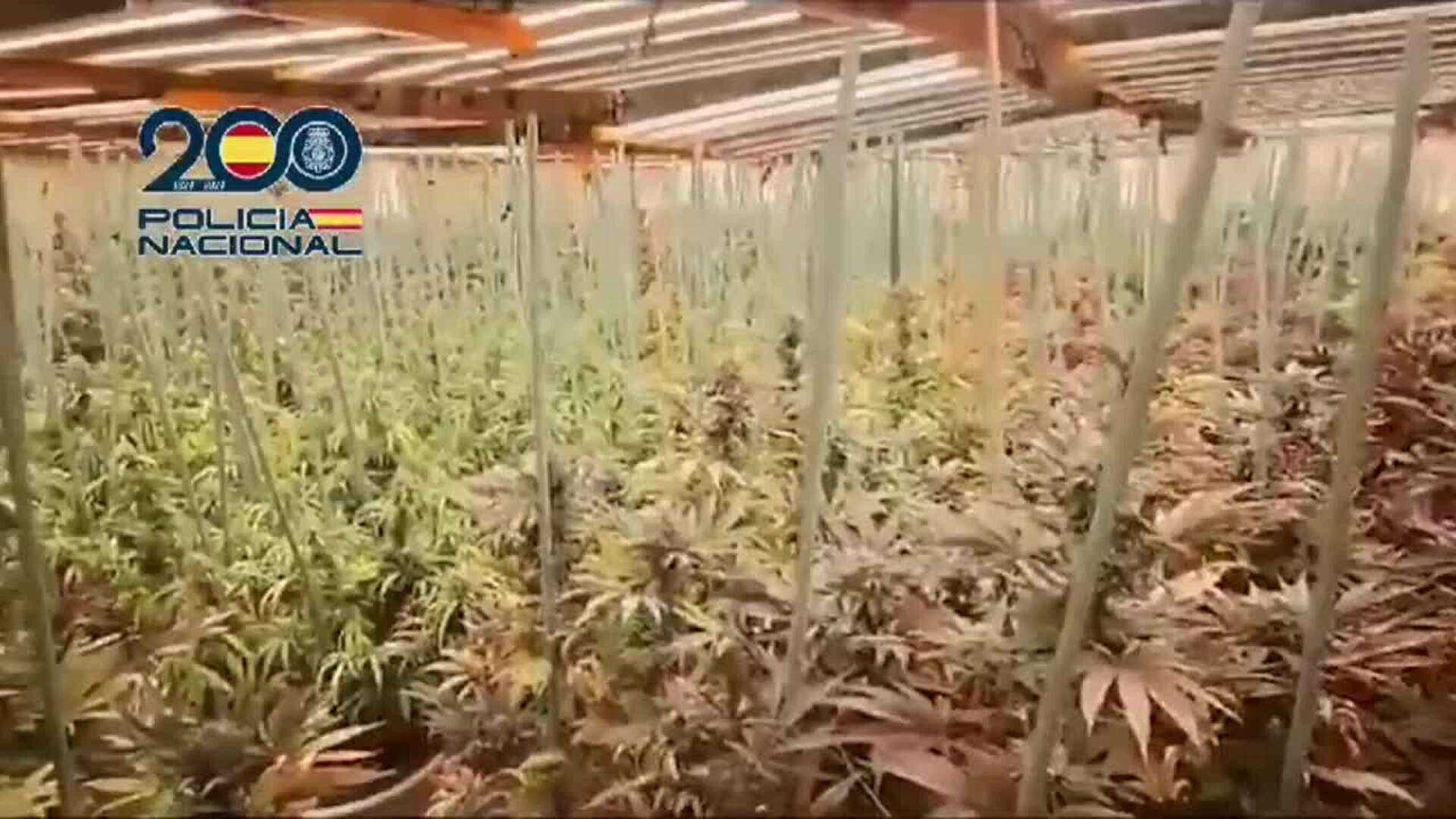 Luchas entre narcos permiten descubrir una gran planta de distribución de droga en Huesca