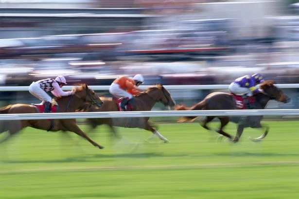 Pick a Winner with your Star this Ascot with great content and reader offers