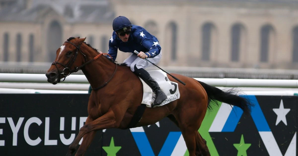 Pierre-Charles Boudot: Three-time champion jockey in France is charged with rape
