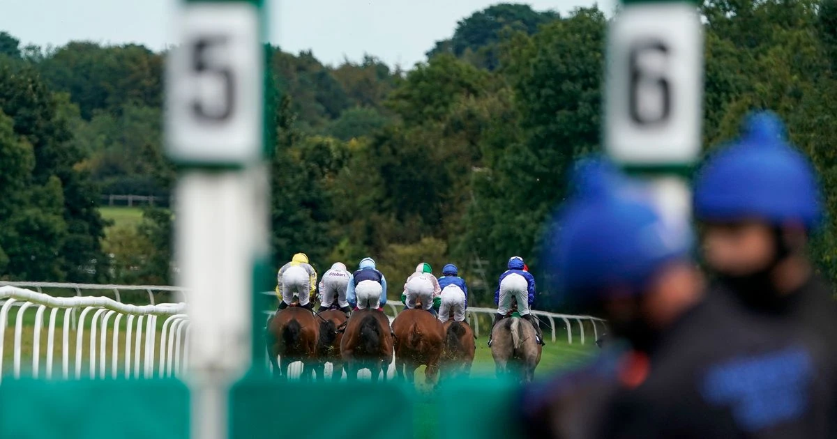 Emergency fund set up after Covid put over 1,500 racehorses at risk of being abandoned