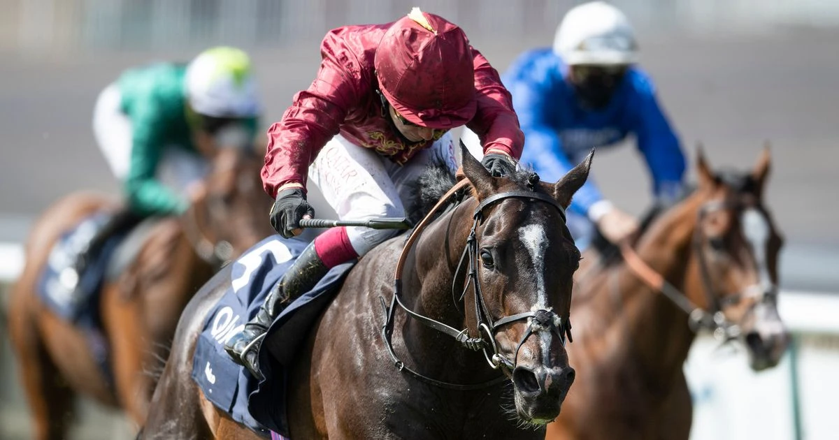 Newsboy's Breeders' Cup Saturday tips: Champion jockey Oisin Murphy and Kameko to star