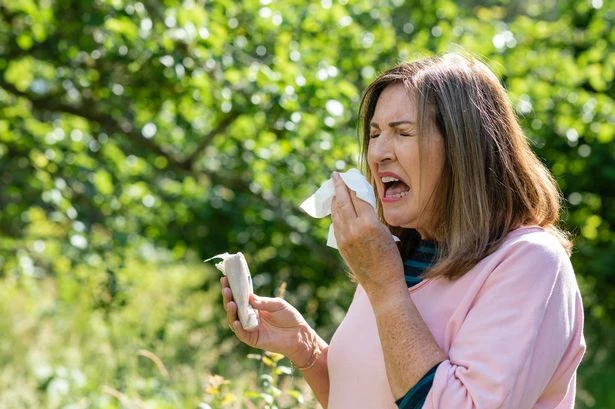 Amazon slashes £9.75 off hayfever tablets and sufferers simply say 'they work'