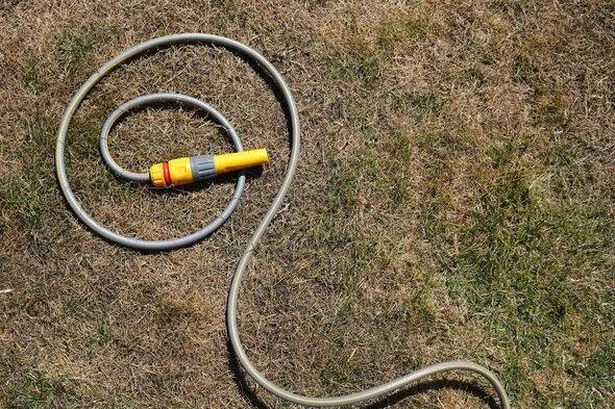 Garden warning issued as millions of homes face hosepipe bans
