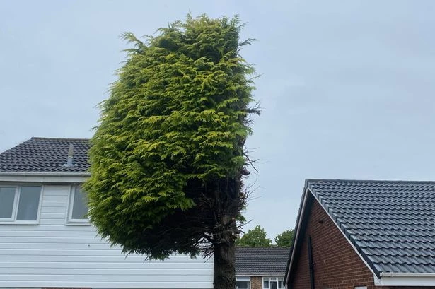 Neighbour's hysterical passive-aggressive message to next door goes viral