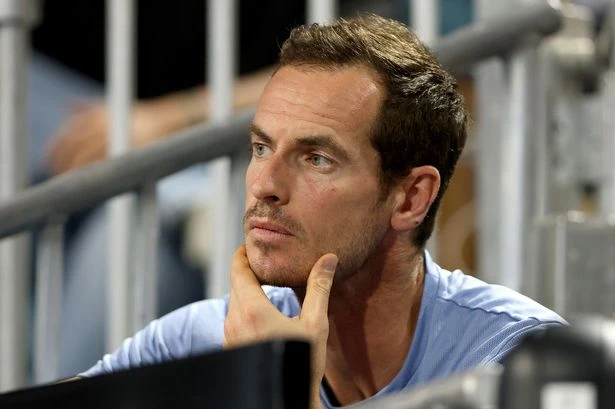 Tennis legend Andy Murray has signed up for chess lessons to beat a five-year-old