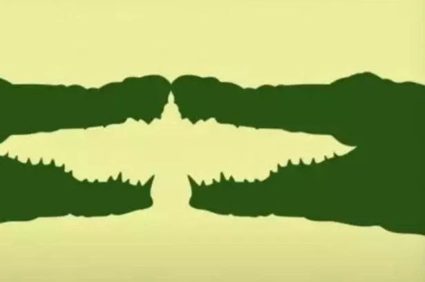 Image you spot first in optical illusion shows if you're 'lonely' or a 'leader'