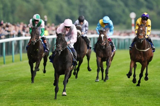 Horse racing tips today from Jason Heavey – 'she has miles to spare on the clock'