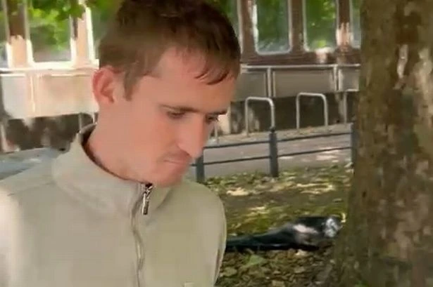 Man who sexually abused horses straddles animal and says 'this boy's looking for a friend'