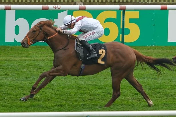 Harry’s Girl horse dies in Royal Ascot horror fall after fans demand ITV update