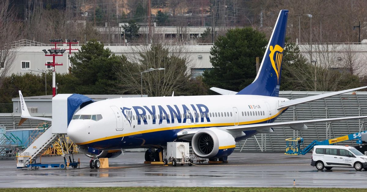 Ryanair plane crashes on runway after 'severe turbulence' as passengers terrified